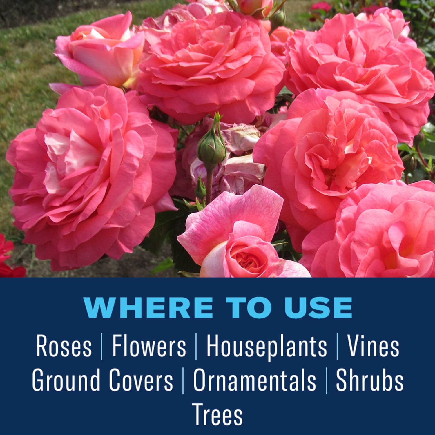 BioAdvanced All-in-One Rose & Flower Plant, Ready-to-Spray, 32 fl oz Bottle