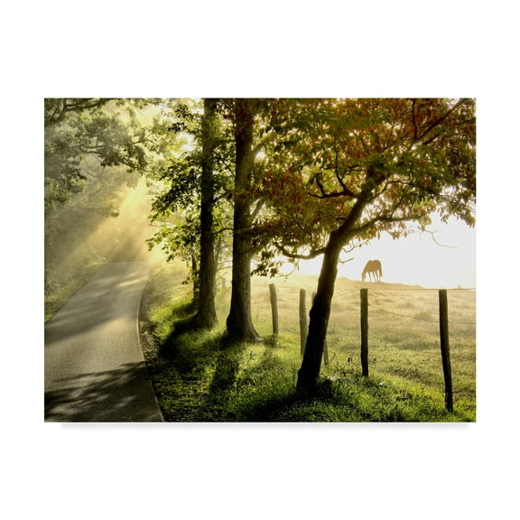 Trademark Fine Art 'Morning Graze II' Canvas Art by Danny Head