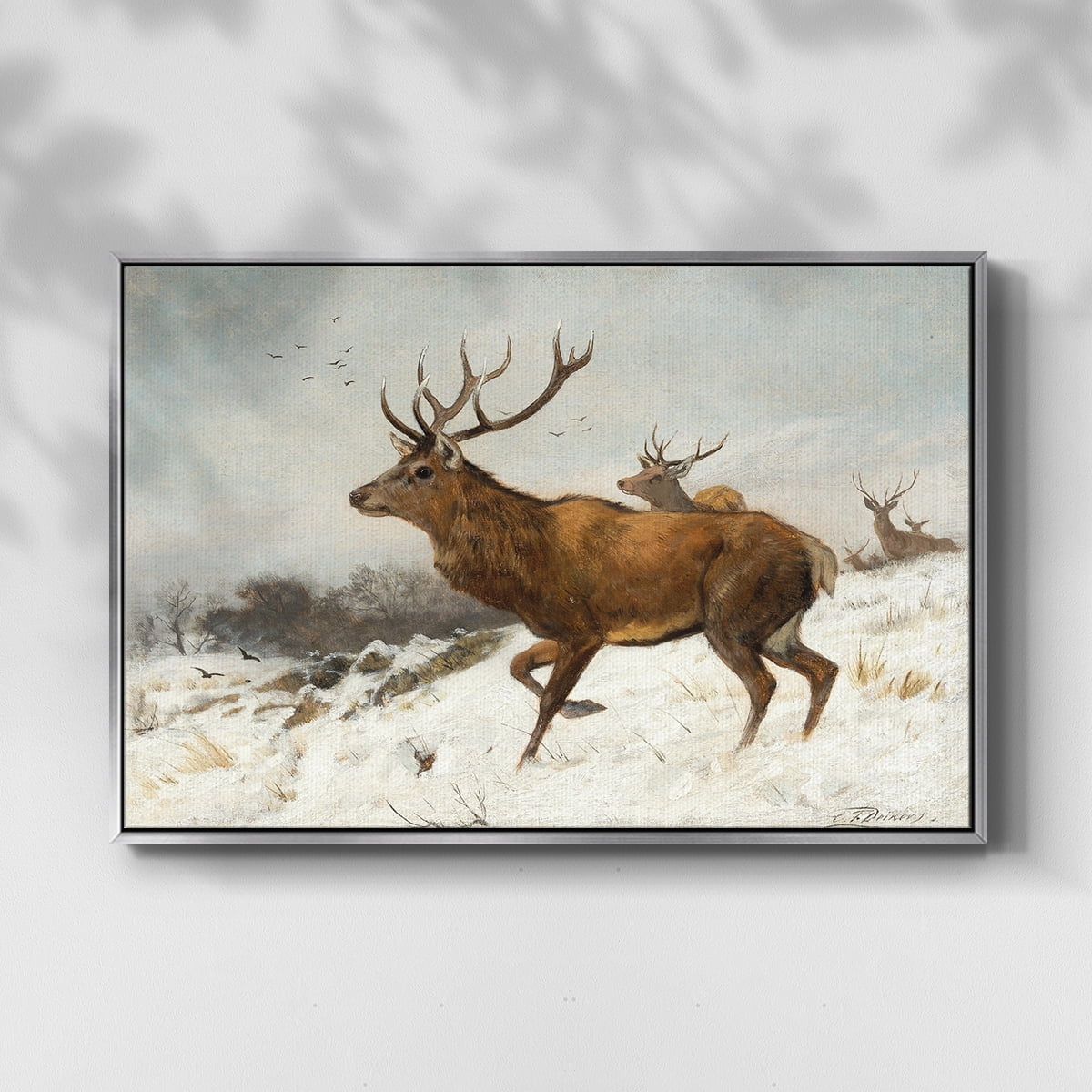 Vintage Animal Print-V By Wexford Home Framed in Silver Wood Gallery Wrapped Canvas 27 in. x 41 in.