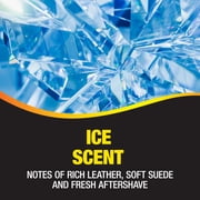 California Scents Palms Ice Paper Car Air Freshener