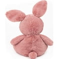 thumbnail image 2 of GUND Baby Oh So Snuggly Bunny Stuffed Animal, Dusty Rose Pink, 12.5", 2 of 6