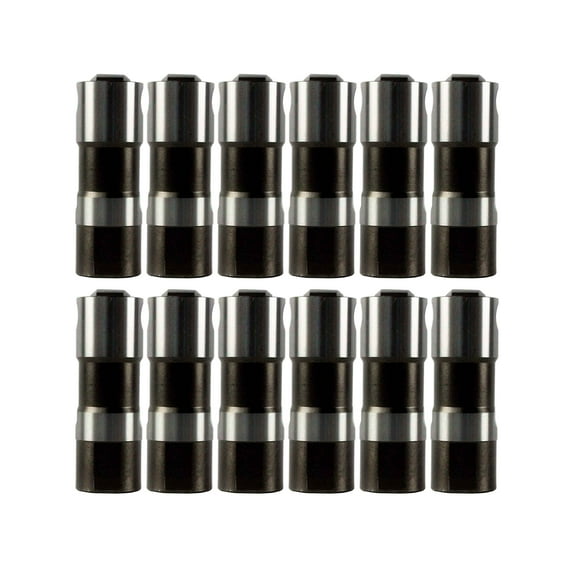 DNJ LFK123104 Valve Lifter Fits Cars & Trucks 86-14 Buick Chevrolet GMC Isuzu Pontiac 3.3L OHV 12V