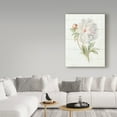 thumbnail image 3 of Trademark Fine Art 'June Blooms II' Canvas Art by Danhui Nai, 3 of 3