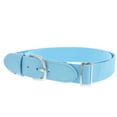 thumbnail image 4 of WEUVEB Elastic Sky-Blue Baseball Belt for Sports Use with Adjustable Waistband, 4 of 9