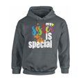 thumbnail image 1 of Awkward Styles My Sister Is Special Hooded Sweatshirt Autism Awareness Hoodie Sweater Autism Hoodie Autism Gifts Autism Sweater Men Women Sibling Love Autism Support Hoodie Sweatshirt Autism Gifts, 1 of 5
