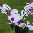 thumbnail image 2 of Enova Home Artificial Real Touch Orchids Faux Flowers Arrangement in White Ceramic Pot for Home Office Wedding Decoration, 2 of 4