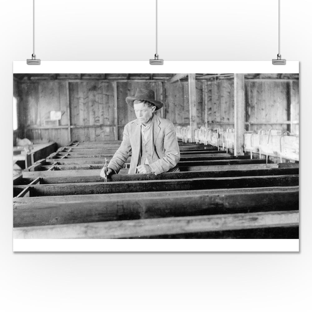 Cedaredge, Colorado Interior View of Fish Hatchery Photograph (24x36