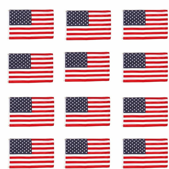 Wholesale Lot 12 3' x 5' ft. USA US American Flag Stars Grommets United States value package dozen