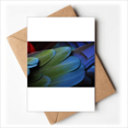 thumbnail image 1 of Cartes de Vœux Plumes d'Oiseaux Vous Tes Invités Invitations, 1 of 3