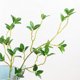 thumbnail image 3 of Bewildely 3 unids/set plantas simuladas para decoración del hogar elegante durabilidad duradera fácil de limpiar Decoración verde, 3 of 6