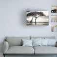 thumbnail image 2 of Piet Flour 'Under The African Sun' Canvas Art, 2 of 4
