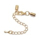 thumbnail image 1 of Collar de Correa de material cuero perfecl 12 Piezas Cadena de extensión de Cola de Broche de Langosta de Oro 62 Mm, 1 of 2