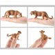 thumbnail image 4 of Shaoke 4 Uds. De De Modelo De Silvestre De Vívido Decoración Para, 4 of 5