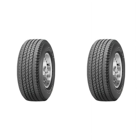 Paquete de 2 Llantas 245/65 R17 105S Nexen ROADIAN HT
