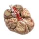 thumbnail image 3 of Modelo Anatómico del Cerebro Modelo anatómico del Sistema Nervioso Cerebral de Arteria Cerebral, 3 of 9