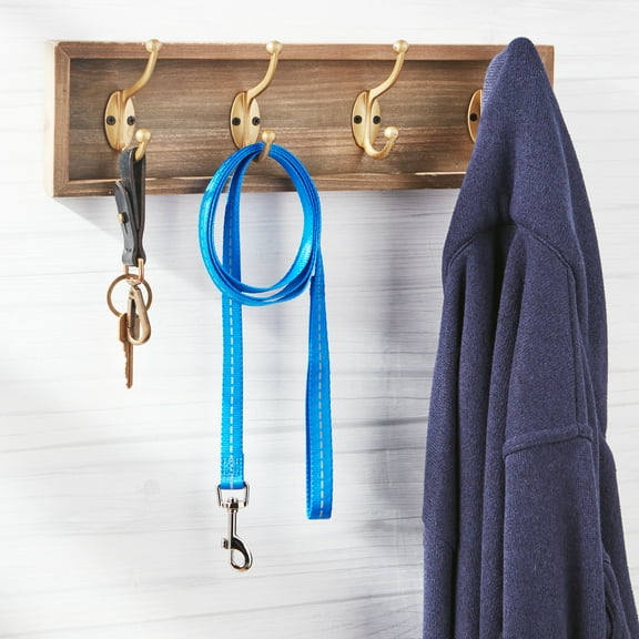 Vibrant Life Reflective Polyester Dog Leash, Blue, Medium, 5 feet