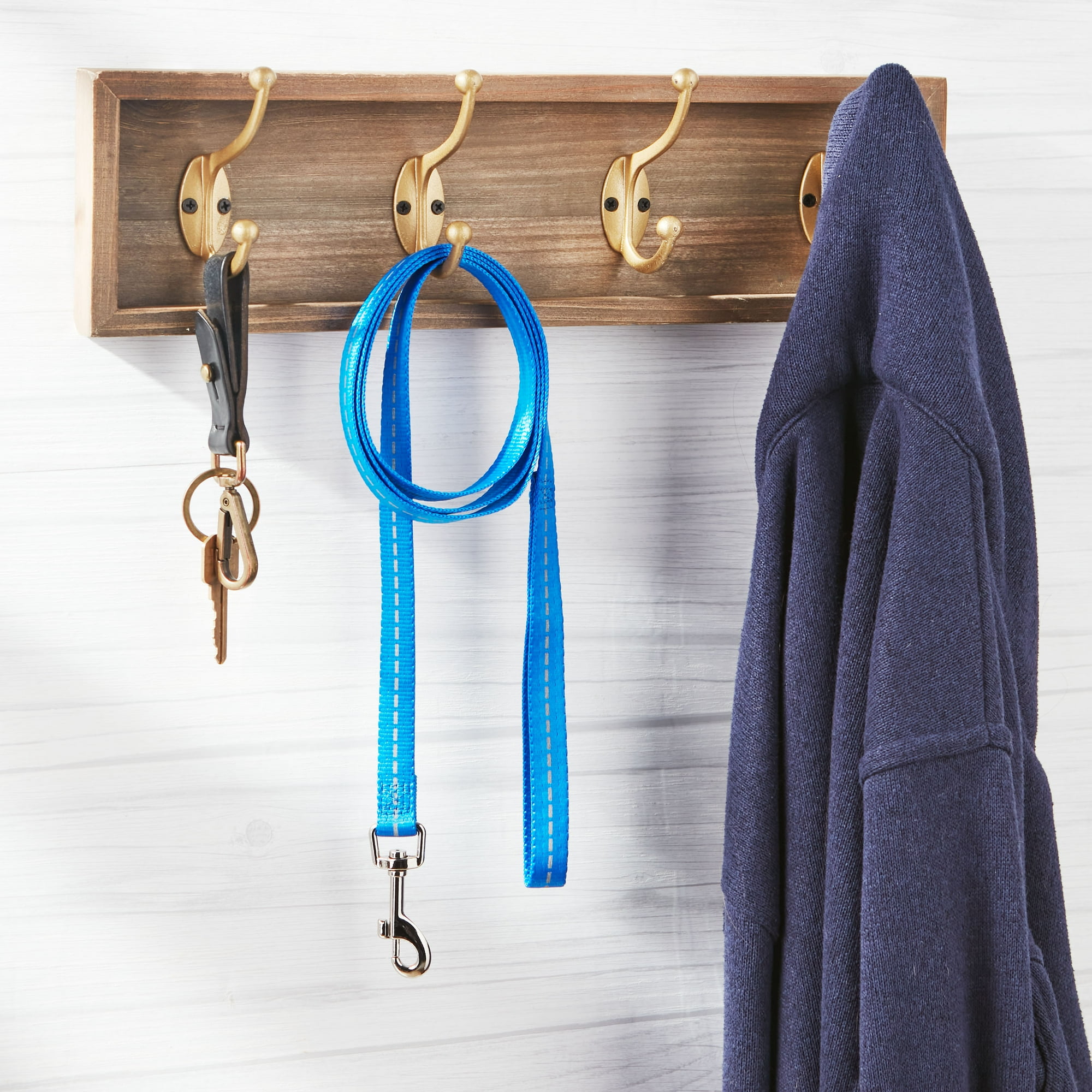 Vibrant Life Reflective Polyester Dog Leash, Blue, Medium, 5 feet