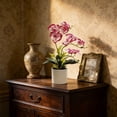 thumbnail image 5 of Artificial Phalaenopsis Orchid Bonsai Potted Plant Silk Flower Arrangement Realistic Home Decor Desktop Office Wedding Centerpiece Maintenance Free Floral Display Indoor Outdoor Decor, 5 of 6