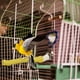 thumbnail image 5 of Jaula para pájaros con varilla de afilar garras, 5 of 6