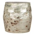 thumbnail image 1 of ZUO Table d'Appoint Pam Modern Style Métal Plaqué Finition Argent, 1 of 1