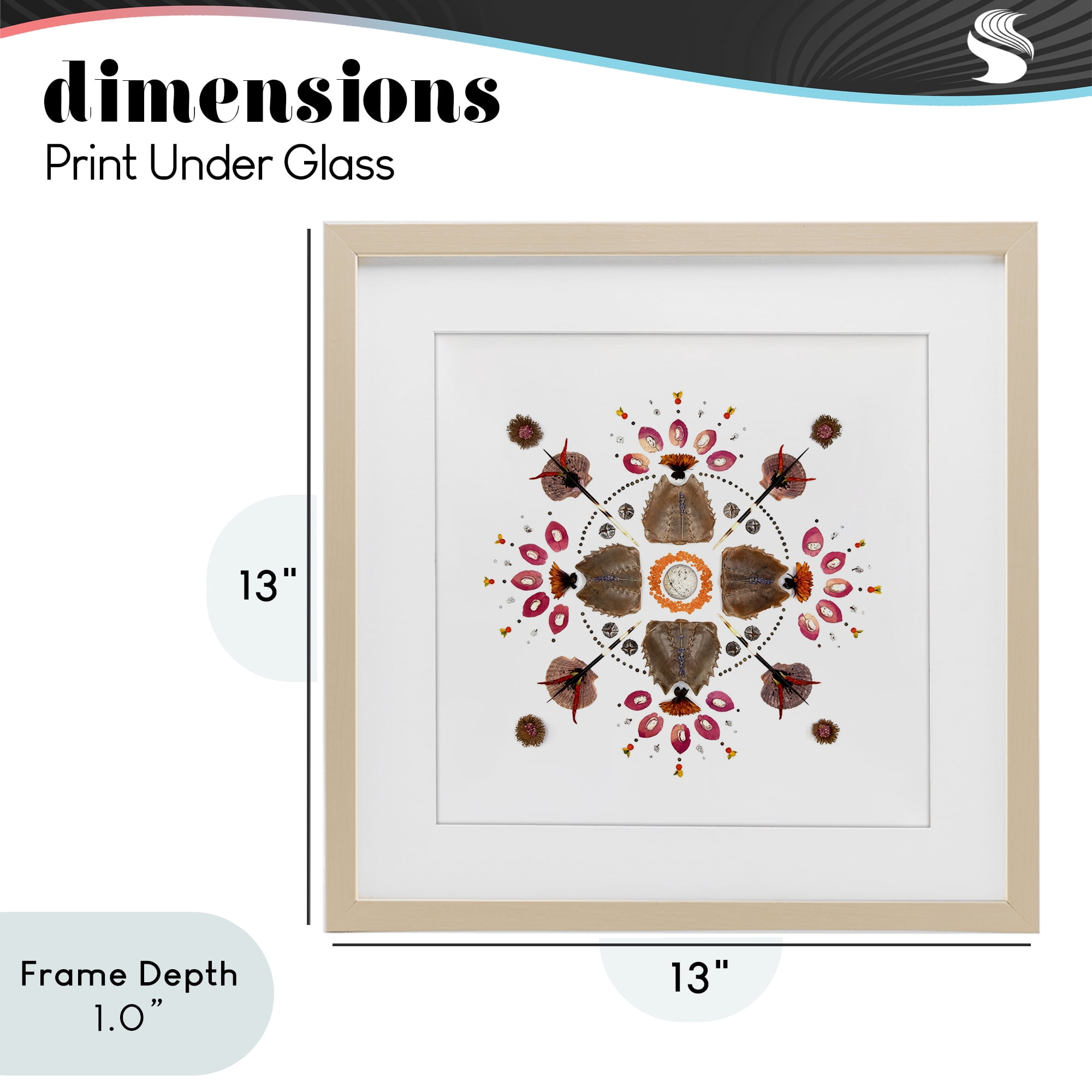 Stupell Industries Symmetrical Nautical Collection Birch Framed Print Under Glass, design by Beth Adoette