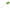 Green, variant on Walbest Mini Silicone Heat Resistant Spatula Cream Butter Scraper, Pro-Grade Multipurpose Kitchen Tool for Baking, Cooking, Mixing, and More, Non-Stick Safe Spatula