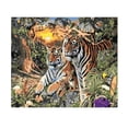 thumbnail image 2 of Los kits de pintura al de bricolaje por números tienen un artístico decorativo, proporcionando diversión de pintura para adulto Tigre Sunnimix Kit de pintura por números, 2 of 6