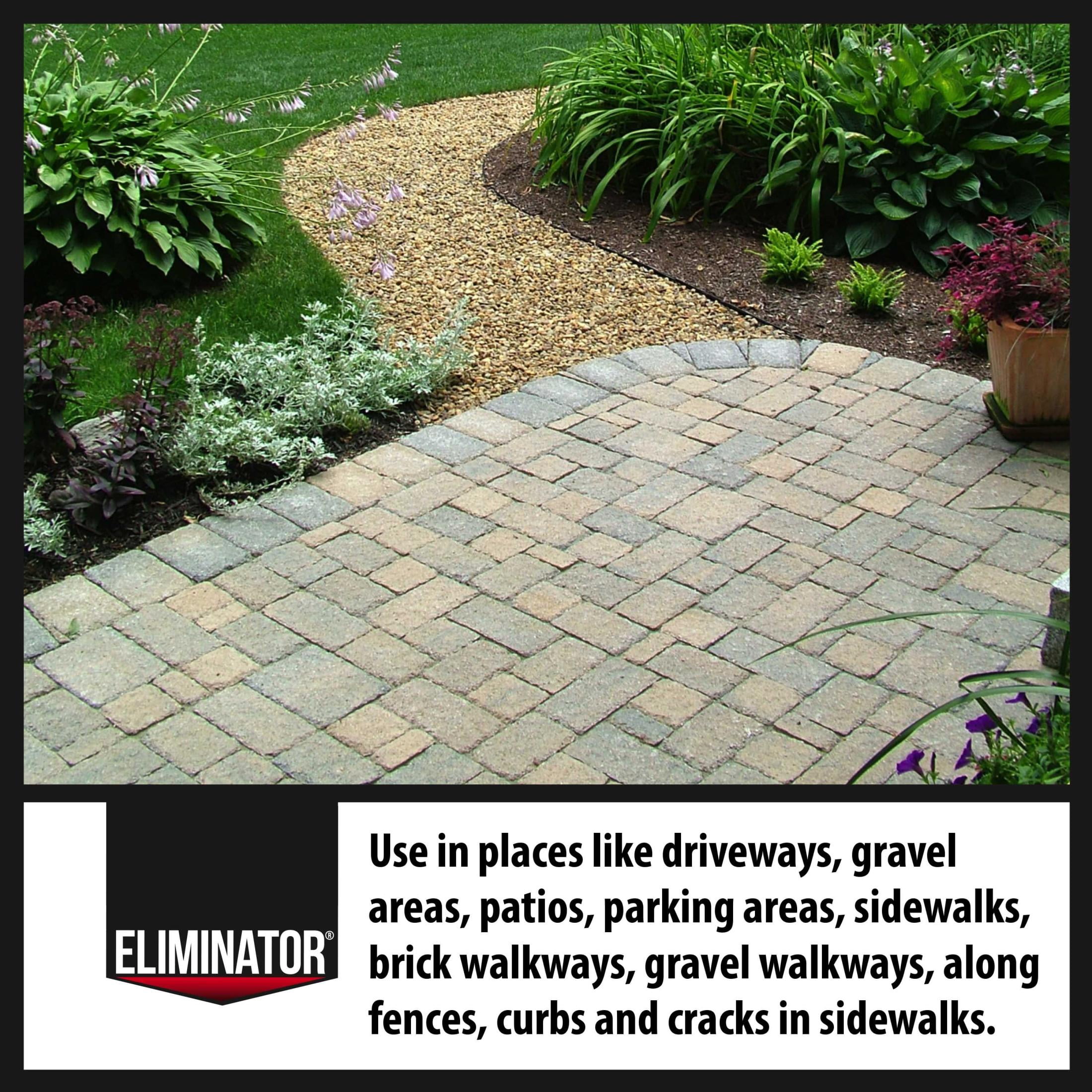 Eliminator Extended Control Weed and Grass Vegetation Killer Herbicide, Ready to Use, 1 Gallon