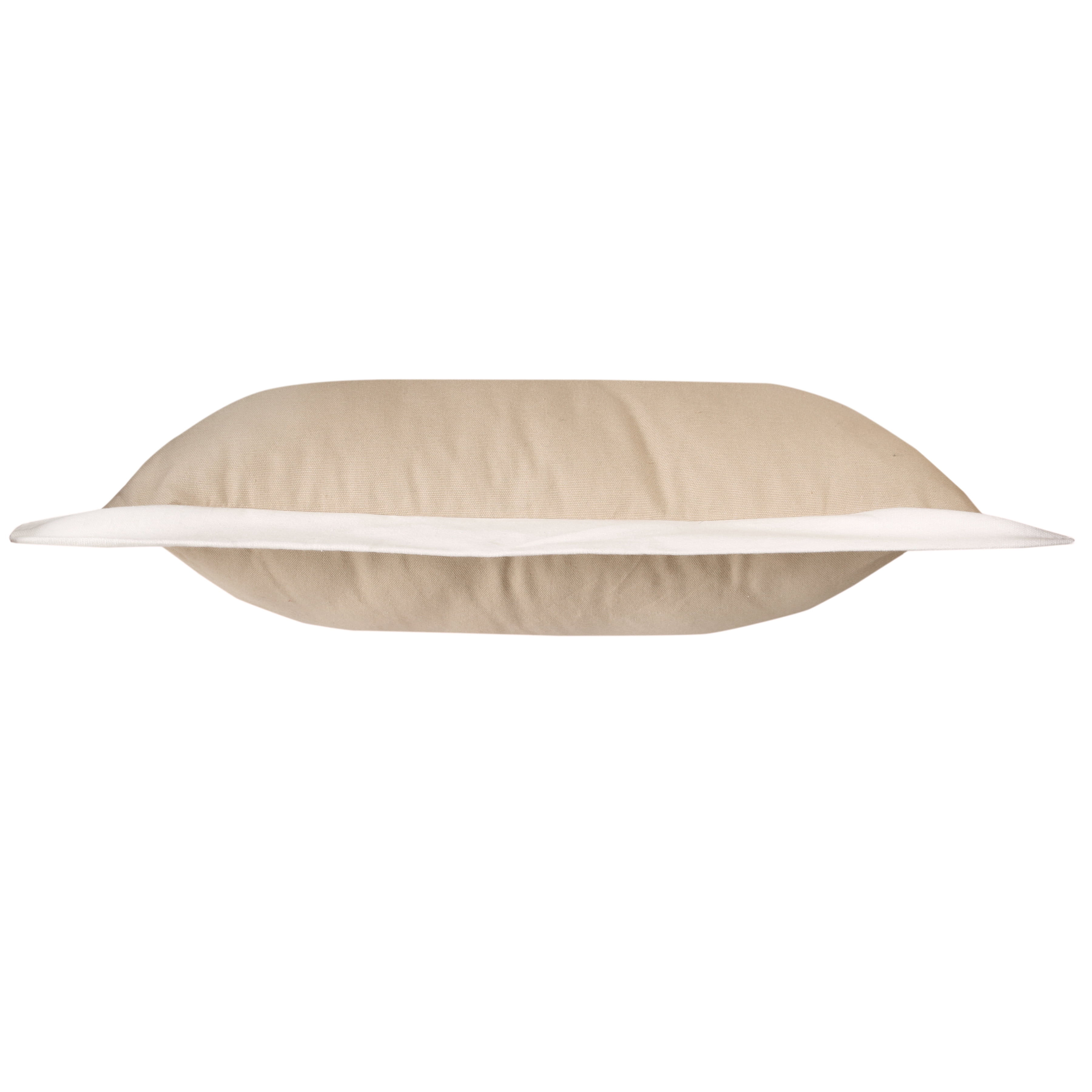 Harlow Hill Finn 20" x 20" Bordered Cotton Adult Decorative Feather Filled Pillow, Beige/White