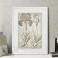 thumbnail image 2 of Wexford Home Classic Romance IV-Framed Print - White - 22X30, 2 of 4