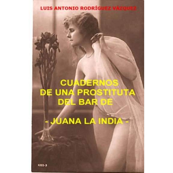 Cuadernos de una prostituta del bar de Juana la india, (Paperback)