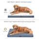 thumbnail image 3 of Dog Crate Bed Washable Dog Beds for Large Dogs, Big Waterproof Orthopedic Dog Bed with Egg Crate Foam Pet Bed Mat, Removable Oxford Cooling Cover, Khaki, 3 of 5