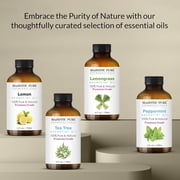 MAJESTIC PURE Eucalyptus Essential Oil | 100% Pure and Natural Eucalyptus Oil | Premium Grade Essential Oils for Hair Care, Home Diffusers, Skin, Aromatherapy, Massage and Humidifiers | 4 Fl Oz