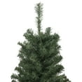 thumbnail image 4 of Northlight Medium Blackwater Fir Artificial Christmas Tree - 2' - Unlit, 4 of 7