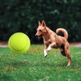 thumbnail image 4 of Miangastore Large Tennis Balls For Dogs Giant Tennis Ball Green for Pet Fun 1Pack, 4 of 8