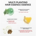thumbnail image 3 of Champú Herbal para Prevenir La Caída Del Cabello (15 Ml X 10 Unidades) | Fórmula Hidratante y Nutritiva | Efecto Crecimiento | Envase Portátil | Aroma Fresco, 3 of 7
