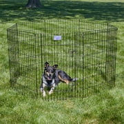 MidWest Homes for Pets 36-Inch Exercise Pen, for Indoor and Outdoor Use, 16 Sq Feet of Play, Single Door Folding Dog Pen, with Large Door Opening & Secure Latch, Easy to Set Up, Foldable Dog Playpen