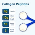 thumbnail image 4 of Zammex péptidos de colágeno en polvo, 90 porciones, polvo instantáneo sin sabor, proteína de colágeno hidrolizado puro en polvo (tipo I, III) 100% alimentado con pasto, Paleo y Keto, sin OGM, para la, 4 of 5