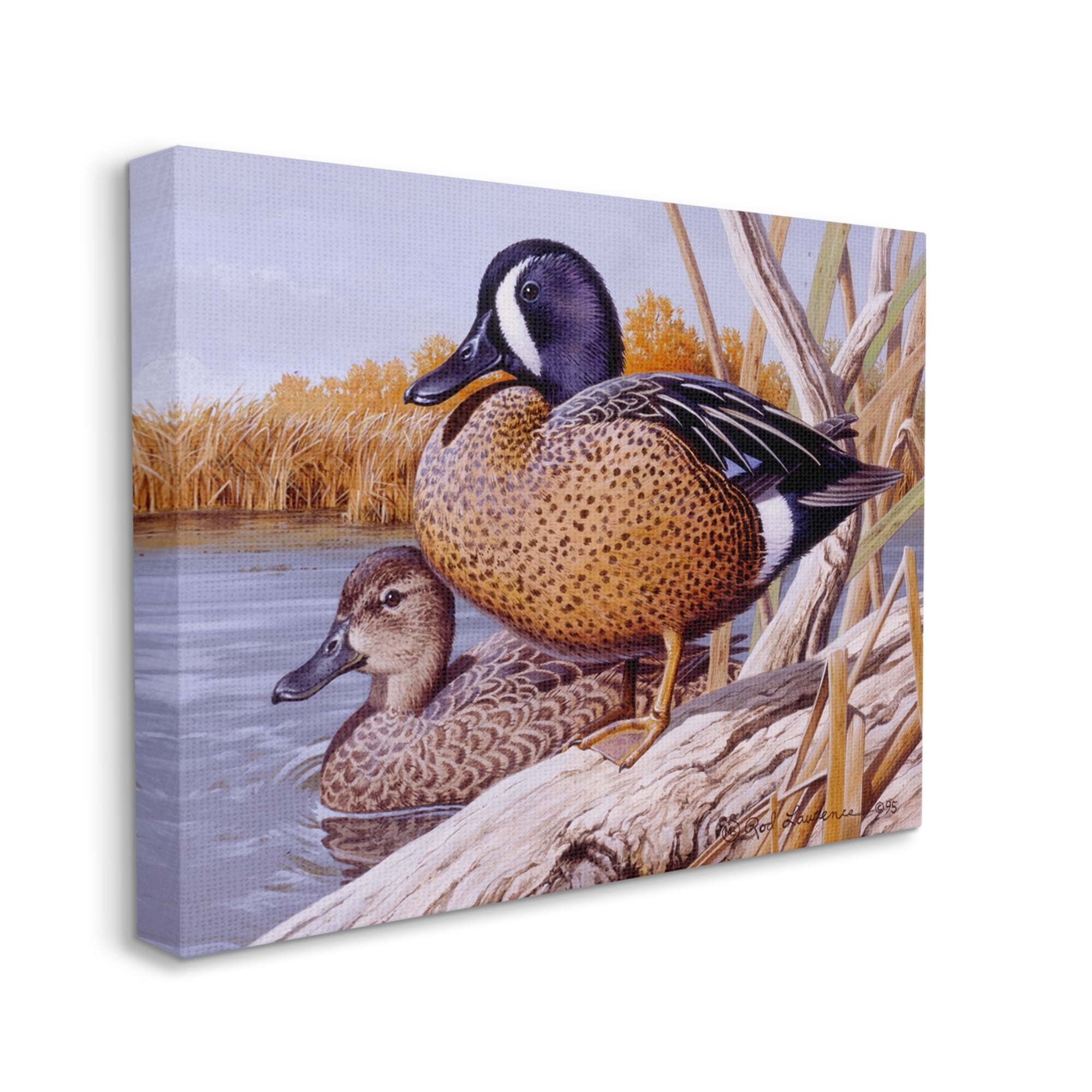 Stupell Industries Ducks at Pond's Edge Animals & Insects Painting Gallery Wrapped Canvas Art Print Wall Art, 30 x 24
