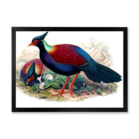 Designart 'Ancient Birds In The Wild II' Traditional Framed Art Print