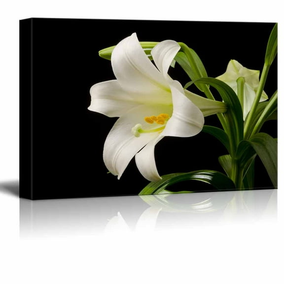 wall26 - Canvas Prints Wall Art - White Blooming Lily on a Black Background | Modern Wall Decor/Home Decoration Stretched Gallery Canvas Wrap Giclee Print. Ready to Hang - 16" x 24"