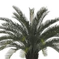 thumbnail image 2 of Faux 3ft Cycas Palm, 2 of 3