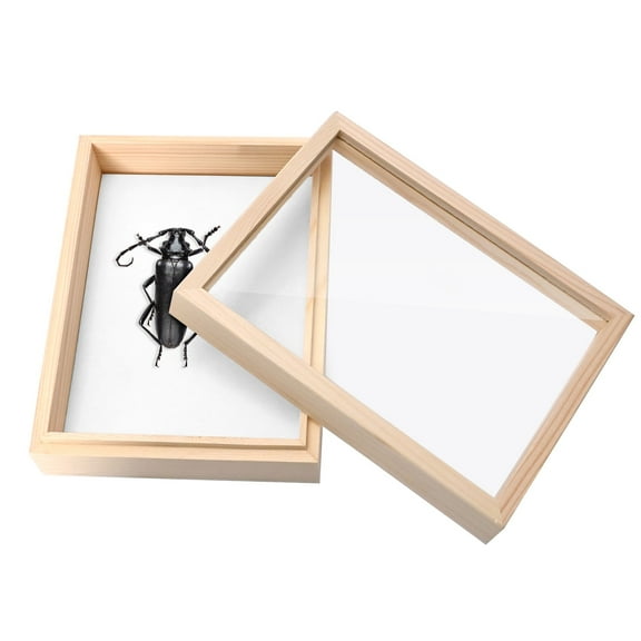 Insect Display Case, Bug Collection Box Framed in Wood, 7.08 x 5.31 x 2.16 inches Taxidermy Insect Box