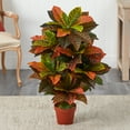 thumbnail image 2 of Nearly Natural 39" Croton Artificial Plant (Real Touch), Orange, 2 of 3