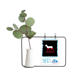 thumbnail image 1 of La responsabilidad de proteger es everyones animal Jarrones colgantes de vidrio transparente Decoración Botella, 1 of 4