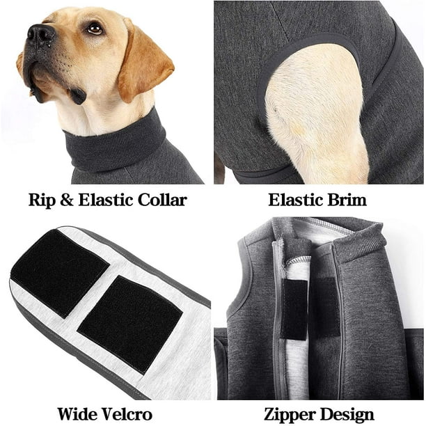 Best anxiety outlet jacket for dogs