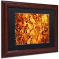 thumbnail image 2 of Trademark Fine Art "Variegated" Canvas Art by Philippe Sainte-Laudy Black Matte, Wood Frame, 2 of 4