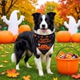 thumbnail image 6 of Cififendec Halloween Pet Triangle Bandana, 23.62"×15.74", Printed Festival Neckerchief with Halloween Element Pattern for Pets Party Photo Dress‑Up, 6 of 6