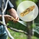 thumbnail image 3 of Rociador de manguera de jardín ajustable Conector rápido Arandela Varita Rociador de rociado directo para jardín Cubierta de riego Jardinería Cuidado, 3 of 5