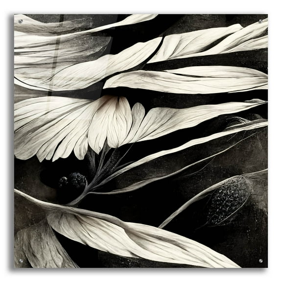 Epic Art 'Flowers Black White 12' by Ray Heere, Acrylic Glass Wall Art, 36"x36"